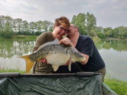 Competities HSV Alfheim